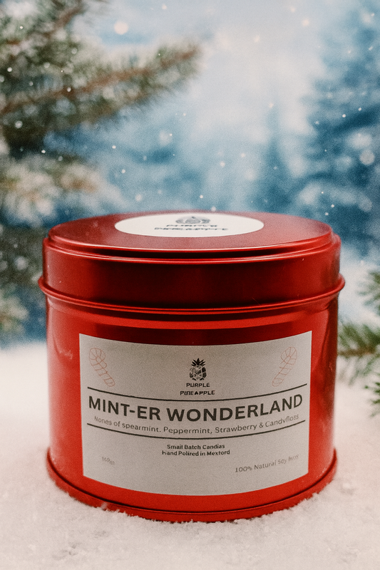 Minter-Wonderland -Natural Soy Wax -230g